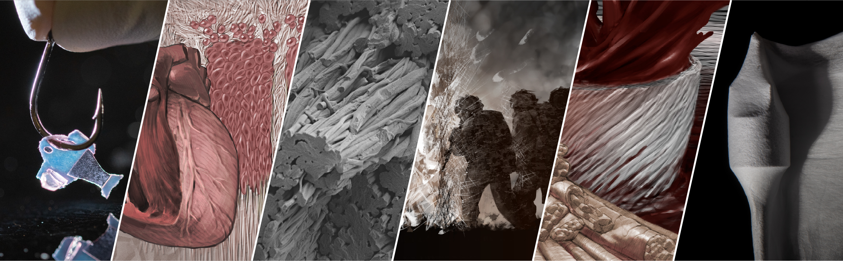 DBG_Banner