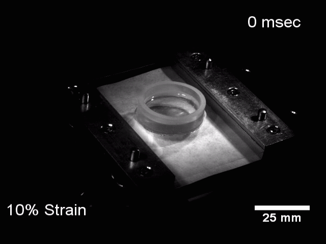 img-research-high_speed_stretcher.gif