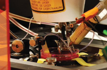 img-research-magnetic_tweezer_setup.jpg