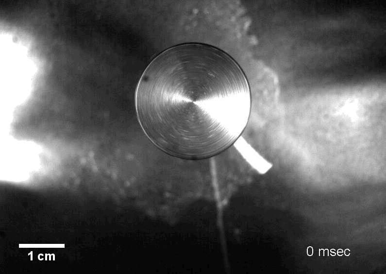 img-research-mcilwee_dbg_nanofiber_formation.gif