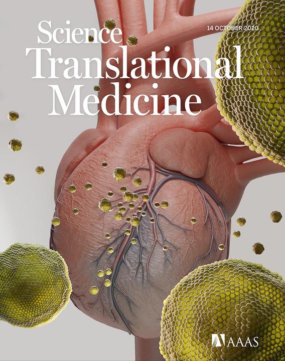 Translational Medicine_MoranYadid