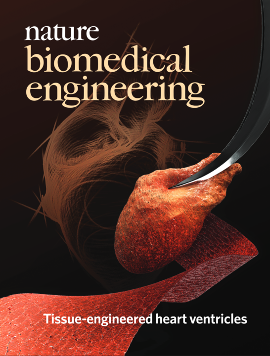BiomedicalEngineering_LukeMacQueen