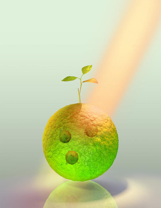 NatureBiotechnology_KilyongLee