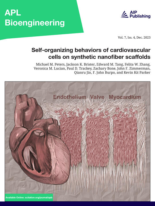 APL Bioengineering Cover