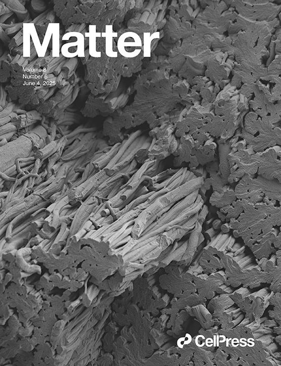 YichongWang_MichaelRosnach_MatterCover