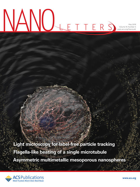 NanoLetters_JZimmerman