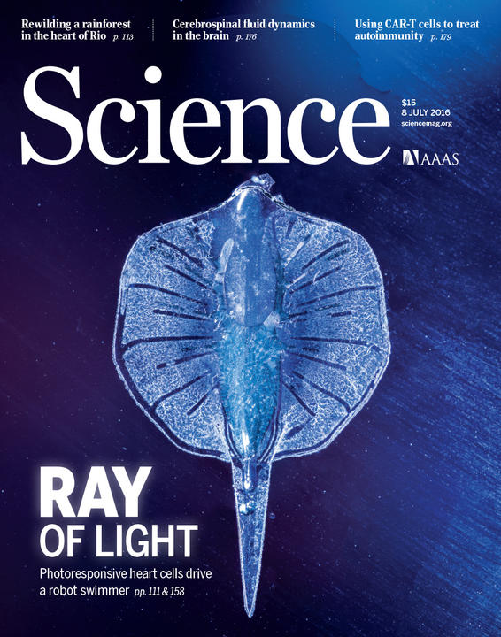 Science_SungJinPark